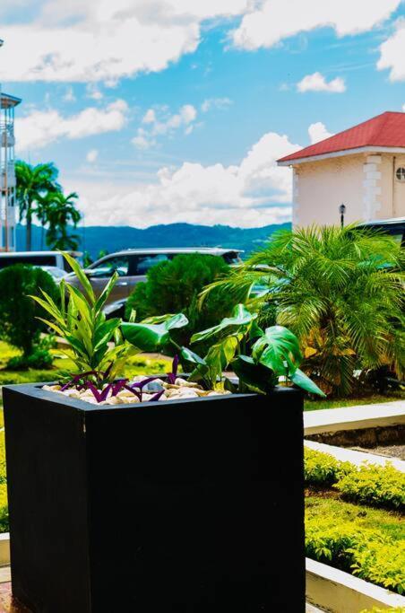 Falcon Islandview - Airport Pickup Available - 24Security Teluk Montego Bagian luar foto